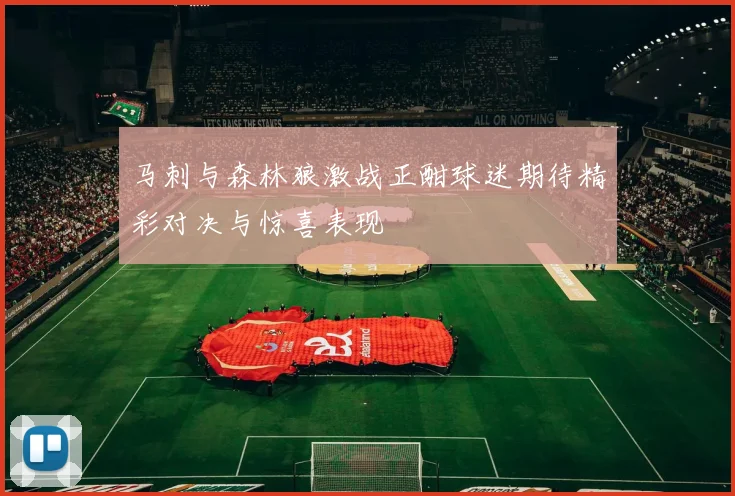 马刺与森林狼激战正酣球迷期待精彩对决与惊喜表现
