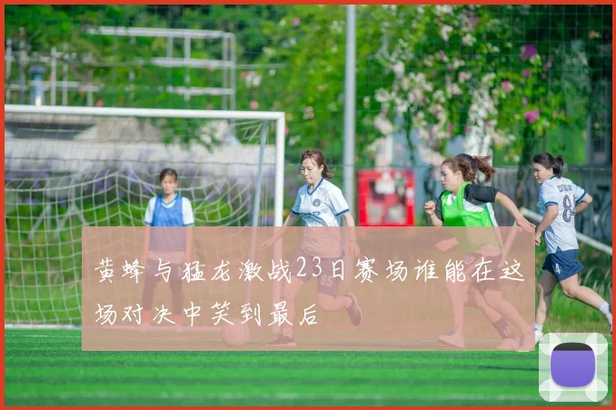 黄蜂与猛龙激战23日赛场谁能在这场对决中笑到最后
