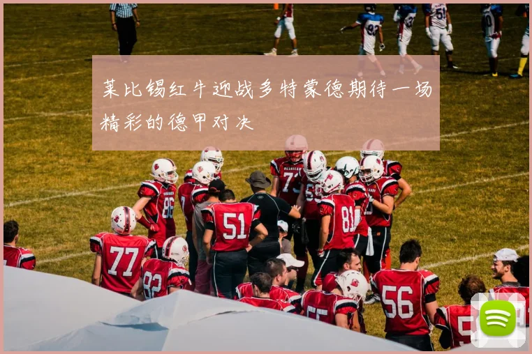 莱比锡红牛迎战多特蒙德期待一场精彩的德甲对决