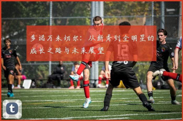 多诺万米切尔：从新秀到全明星的成长之路与未来展望
