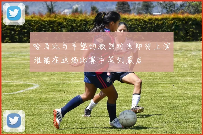哈马比与辛堡的激烈对决即将上演谁能在这场比赛中笑到最后